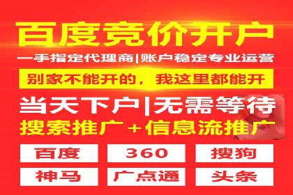 某企业选择SEM外包公司的决策与成果展示