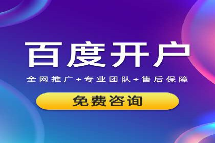 百度竞价与搜索引擎优化（SEO）结合的经典案例